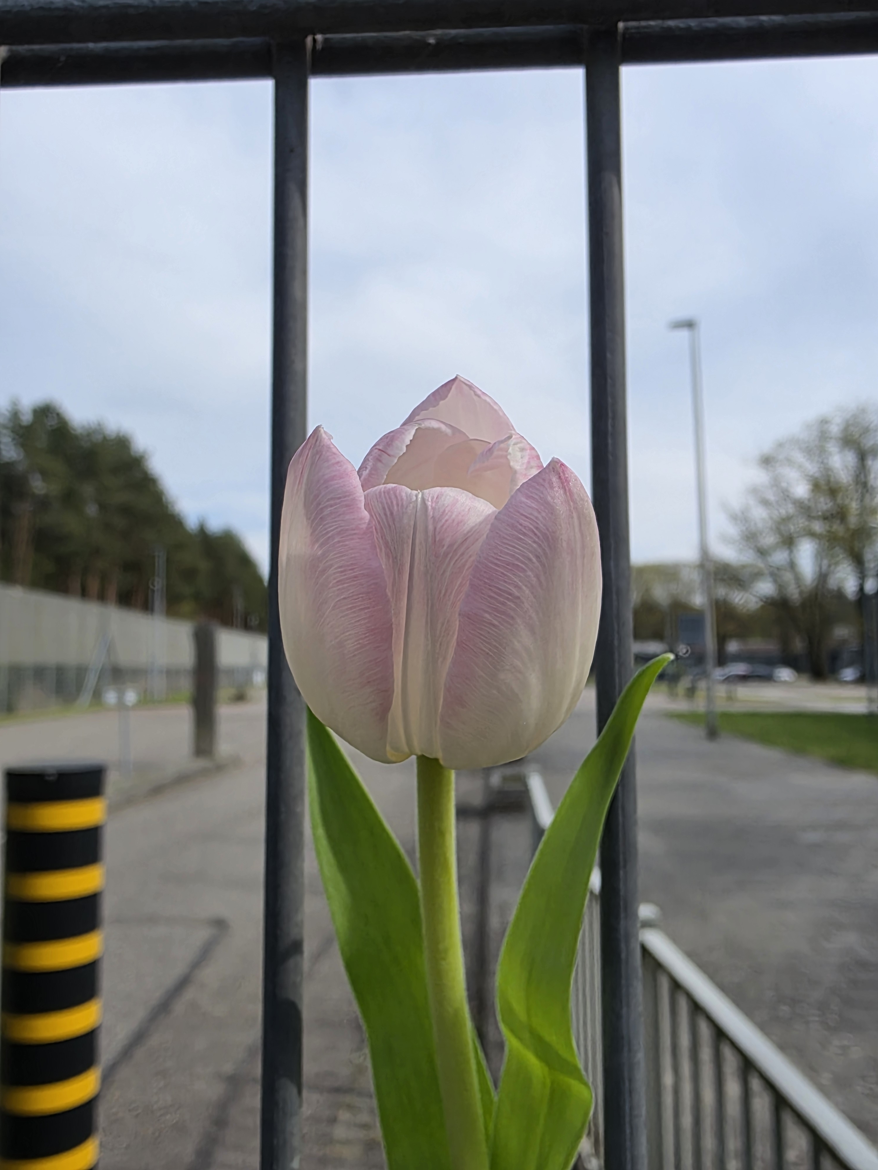 Erkenning medische nood bij uitzetting