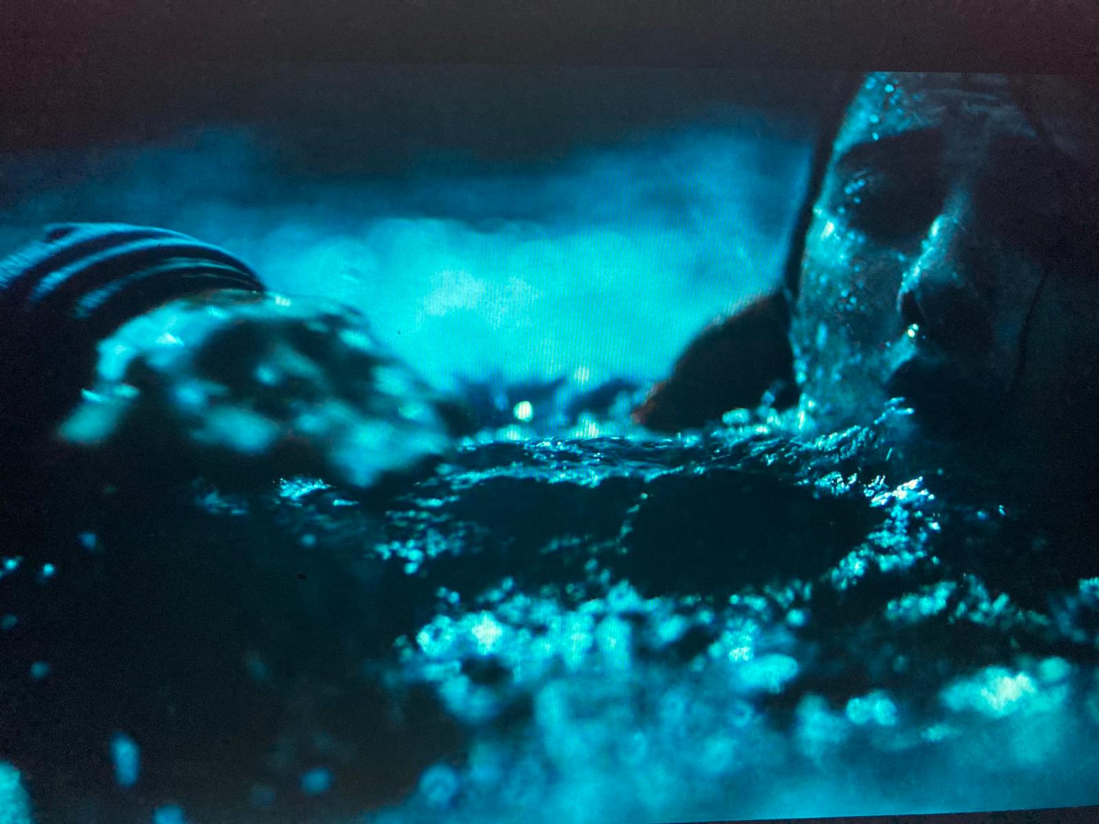 Kans op 20 jaar cel voor helpen medemens